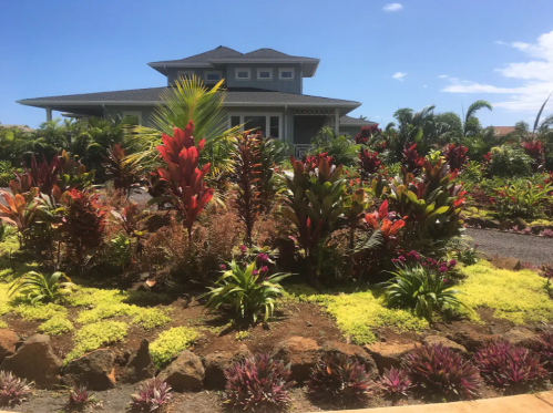 A vibrant garden with colorful plants in front of a large house under a clear blue sky.