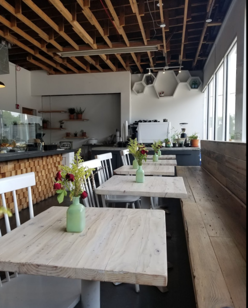 Bright, modern café interior with wooden tables, potted plants, and fresh flowers in vases. Large windows let in natural light.