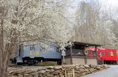 A vintage train car beside a wooden cabin, surrounded by blooming trees and a gravel path.