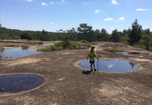 A child walks on a rocky landscape with puddles, surrounded by greenery and blue skies.