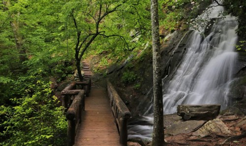 A serene forest scene featuring a wooden bridge beside a flowing waterfall and lush green trees.