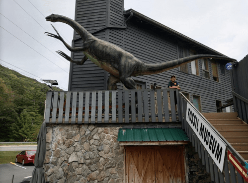 A large dinosaur statue on a building's balcony, with a person standing nearby, and a sign for a fossil museum.