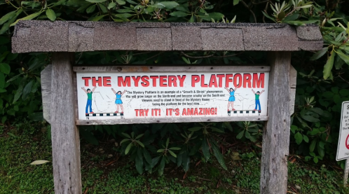 Sign for "The Mystery Platform," promoting a unique experience with a playful design and the text "Try it! It's amazing!"