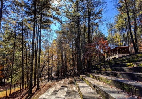 A serene outdoor amphitheater surrounded by tall trees and autumn foliage under a clear blue sky.