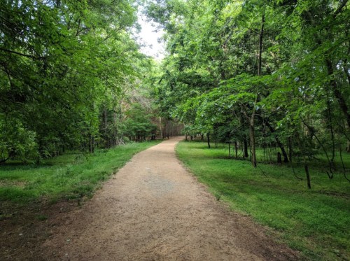 A winding dirt path through a lush green forest, surrounded by trees and grass.