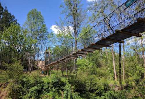 A suspension bridge stretches over a lush green forest, surrounded by tall trees and a clear blue sky.