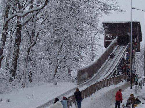 A snowy landscape featuring a large sledding hill with people sliding down and trees covered in snow.