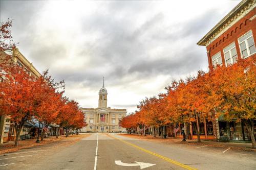 A quiet street lined with vibrant autumn trees, leading to a historic building under a cloudy sky.