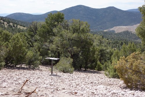 A rocky landscape with scattered trees and distant mountains under a cloudy sky.