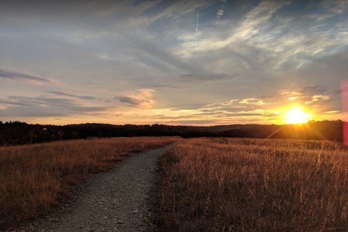A winding gravel path through tall grass, leading towards a vibrant sunset with colorful clouds in the sky.