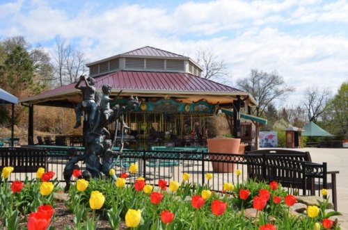 A carousel pavilion surrounded by colorful tulips on a sunny day, with benches and trees in the background.