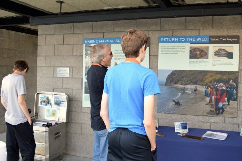Two visitors observe marine mammal exhibits at an educational display, with informational panels in the background.