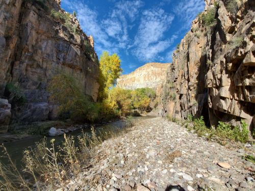 A rocky canyon with steep walls, a clear blue sky, and a riverbed lined with colorful autumn trees.