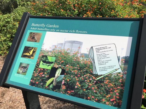 Sign for a butterfly garden, featuring colorful flowers and images of butterflies, with information about their nectar sources.