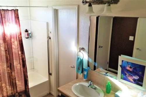 A bathroom featuring a shower, sink, mirror, and decorative items, with warm lighting and a curtain.