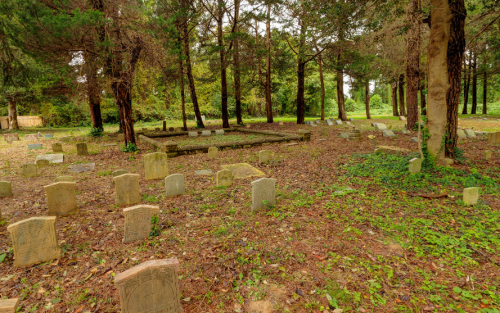 A serene graveyard with weathered headstones surrounded by trees and overgrown foliage.