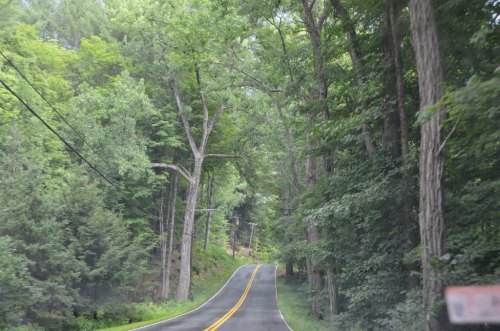 A winding road surrounded by lush green trees, creating a serene and natural landscape.
