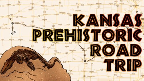 Illustration of a fossil on a map background with text: "Kansas Prehistoric Road Trip."