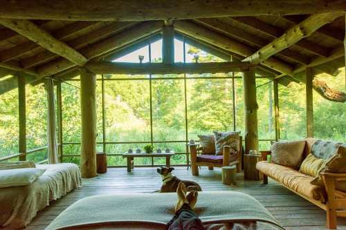 Cozy cabin interior with wooden beams, large windows, and a dog lounging on the floor, surrounded by nature.