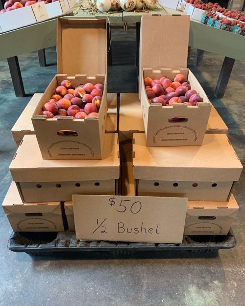 Two boxes of peaches stacked on a cart, with a sign reading "$50 ½ Bushel" in front.
