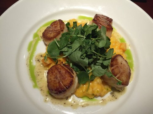 A plate of seared scallops on creamy risotto, garnished with fresh greens and a drizzle of sauce.