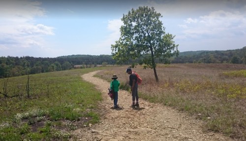 Two children walking along a dirt path in a grassy field, with a tree and hills in the background under a blue sky.