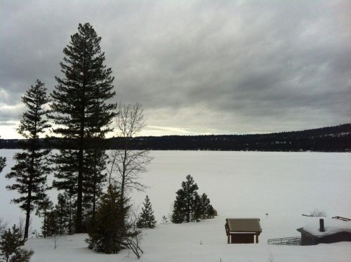A snowy landscape with a frozen lake, tall trees, and a cloudy sky in the background.
