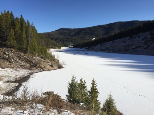 A serene winter landscape featuring a frozen lake surrounded by evergreen trees and mountains under a clear blue sky.