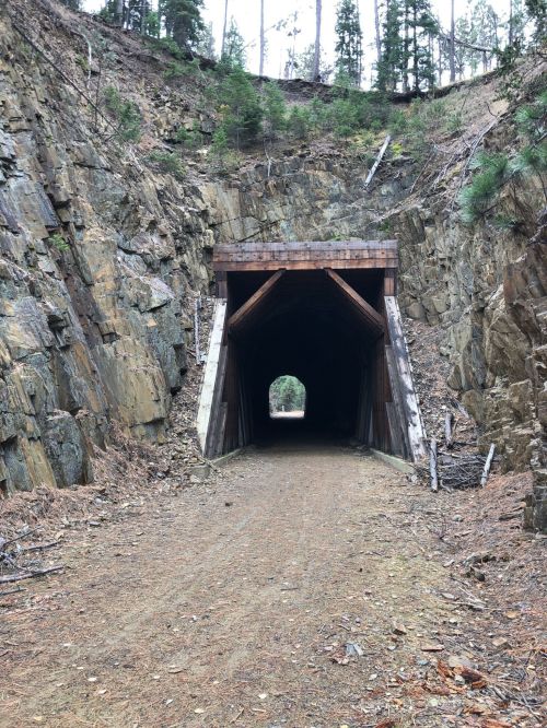 A dark tunnel carved into rocky terrain, framed by wooden supports, surrounded by trees and a dirt path.