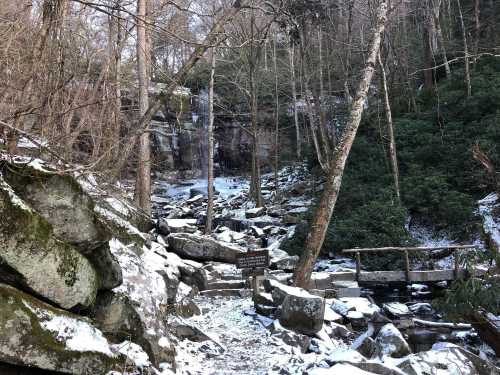 A snowy forest scene with a waterfall, rocky path, and wooden bridge surrounded by trees and greenery.