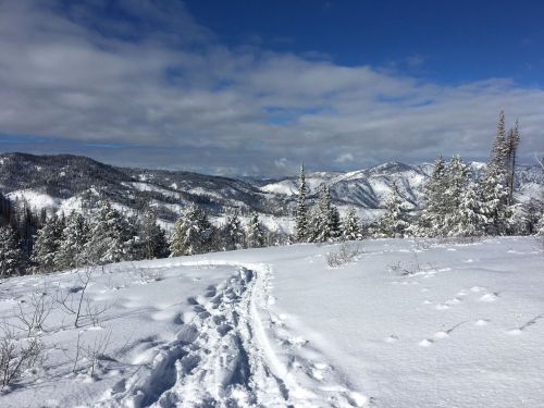A snowy landscape with a winding path, surrounded by snow-covered trees and mountains under a blue sky.