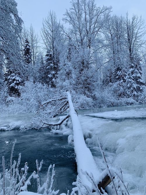 A snowy landscape with a frozen river, a fallen tree, and frosted trees in the background.