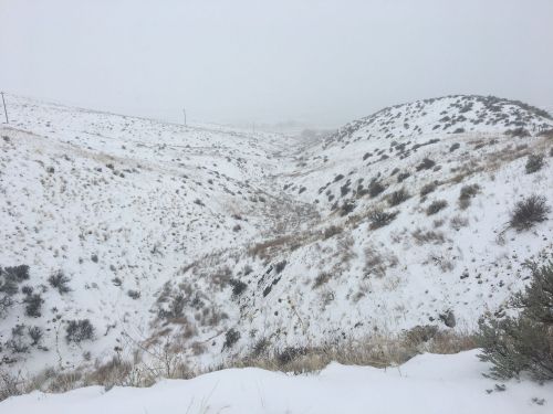 Snow-covered hills and a valley under a gray, overcast sky, with sparse vegetation visible in the landscape.
