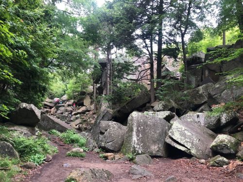 A rocky trail surrounded by lush greenery and large boulders, with hikers visible in the background.