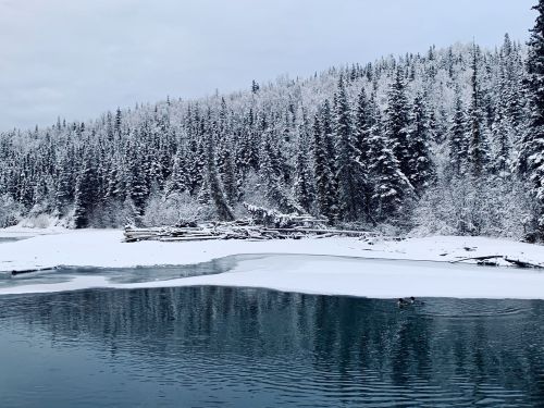 A serene winter landscape featuring a snowy shoreline, evergreen trees, and calm water reflecting the overcast sky.