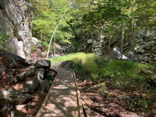 A wooden path winds through a rocky, green landscape with trees and hikers in the background.