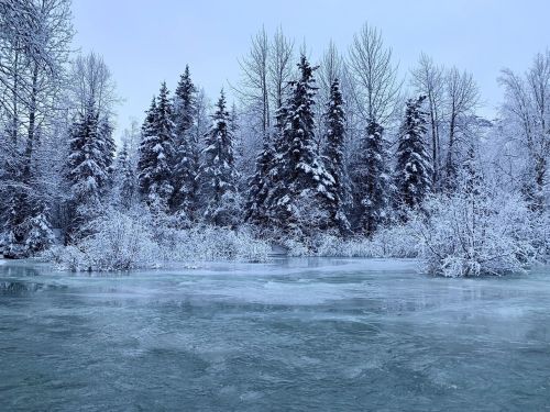 A serene winter landscape featuring snow-covered trees and a frozen body of water under a gray sky.