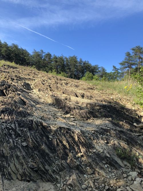 A rocky hillside with layered earth, under a clear blue sky and surrounded by green trees.