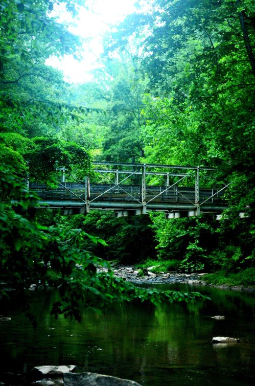 A metal bridge spans a serene creek, surrounded by lush green trees and foliage.