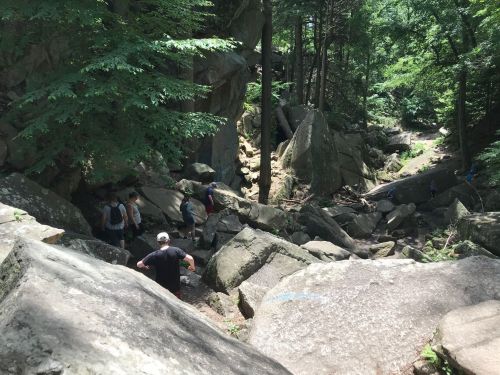 Hikers navigate a rocky trail surrounded by lush greenery and large boulders in a forested area.