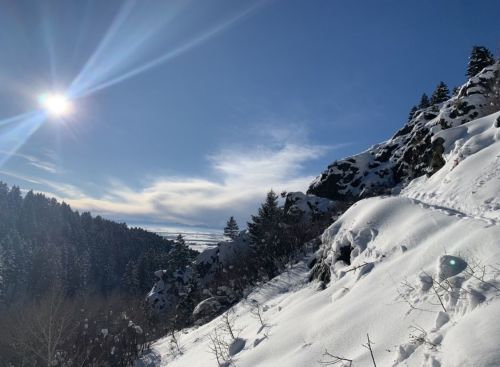A snowy landscape with sun shining over a rocky hillside and evergreen trees under a clear blue sky.