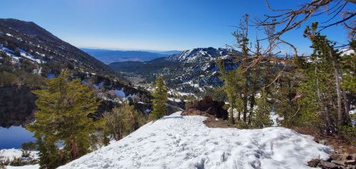 A scenic mountain view with snow-covered ground, pine trees, and distant peaks under a clear blue sky.