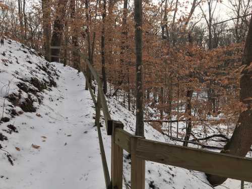 A snowy path winds through a forest with bare trees and brown leaves, bordered by a wooden railing.