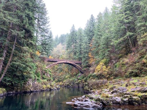 A serene landscape featuring a wooden bridge over a calm river, surrounded by lush green trees and rocky banks.