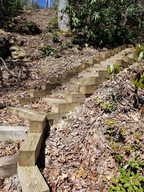 Wooden steps lead up a hillside, surrounded by greenery and fallen leaves.