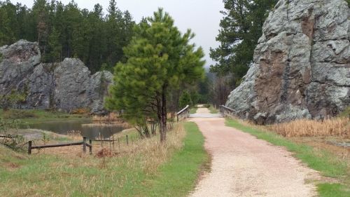 A gravel path leads through a scenic landscape with tall trees and rocky formations, beside a small pond.