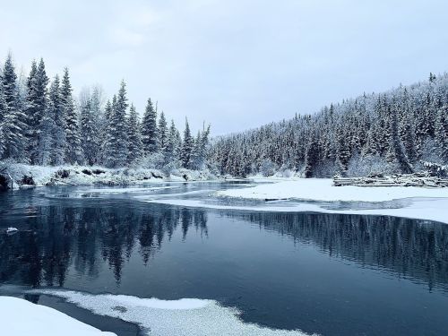A serene winter landscape featuring a river surrounded by snow-covered trees and a calm, reflective surface.