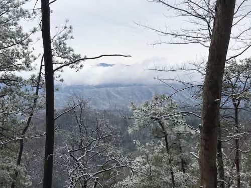 A snowy landscape with trees in the foreground and misty mountains in the background under a cloudy sky.