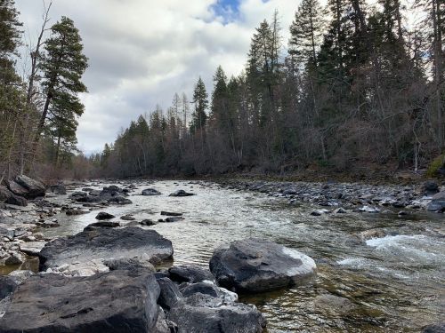 A serene river flows through a rocky landscape, surrounded by tall trees under a cloudy sky.