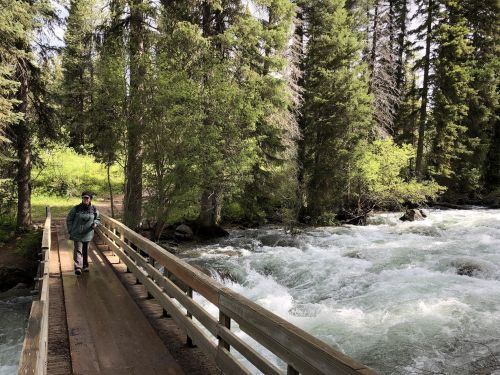 A person walks on a wooden bridge over a rushing river, surrounded by lush green trees and nature.